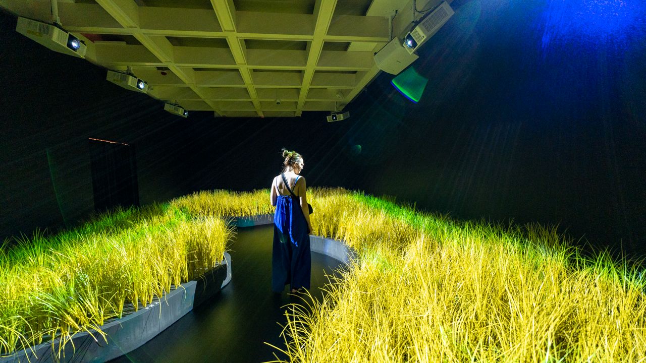 Women walking on yellow grass at Hong Kong Museum of Art