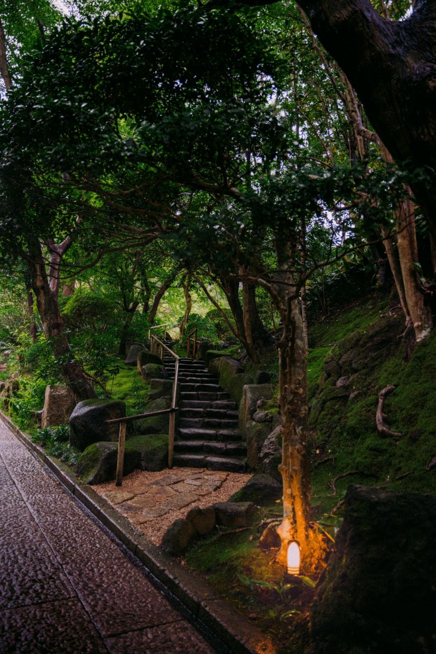 Entrance to Hokoku-ji Temple in the evening, showing stairs and lights, Kamakura.