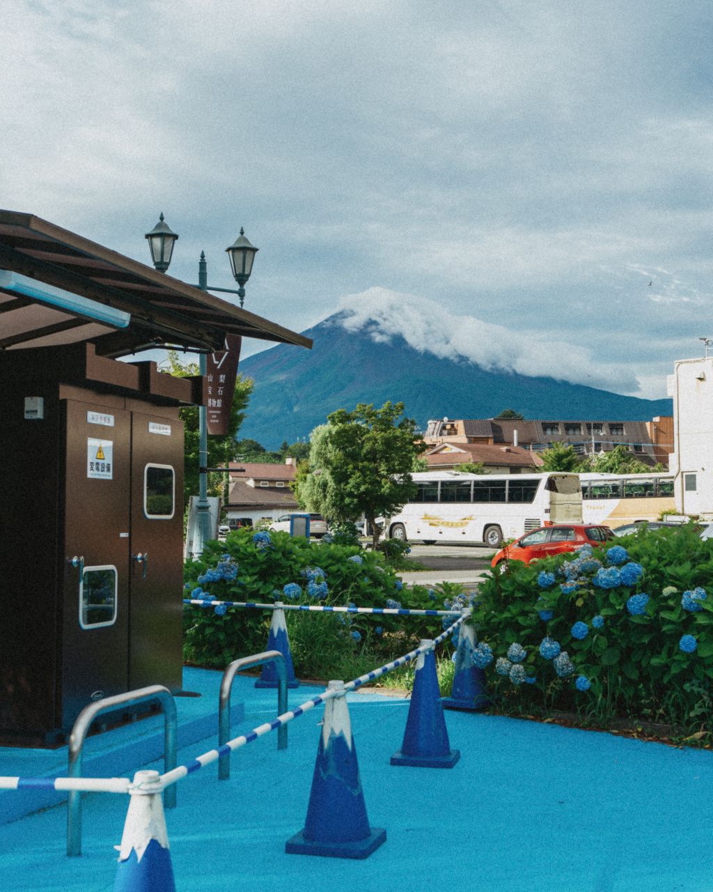 Mount Fuji and hortensia with blue Fuji cones in Kawaguchiko.
