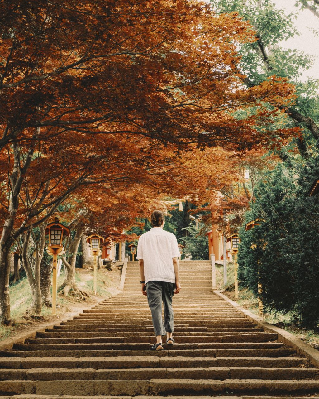 Man climbing stairs to Chureito Pagoda with orange autumn trees, Kawaguchiko.