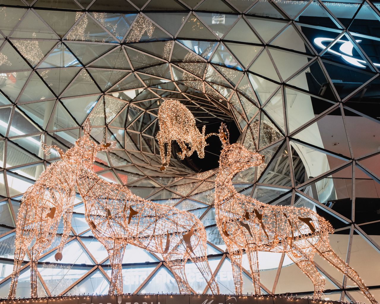 Deer light decorations at Zeil shopping mall.